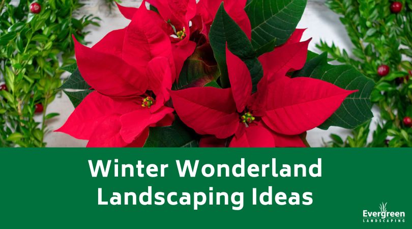 Winter Wonderland Landscaping Ideas