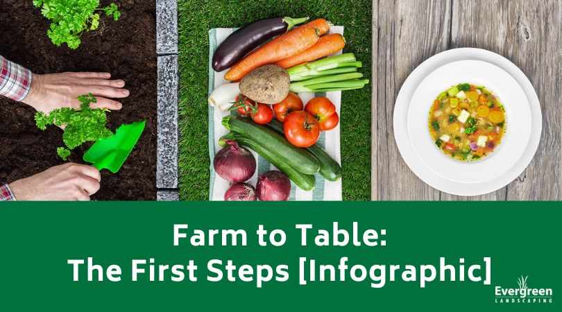 Farm to Table