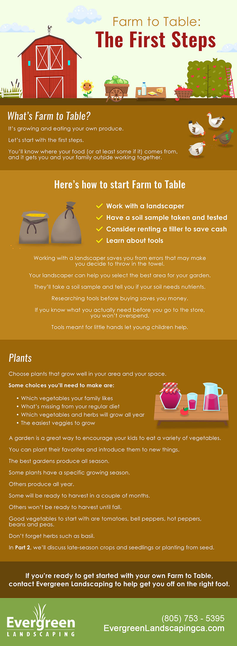 Farm to Table The First Steps [Infographic] Evergreen Landscaping