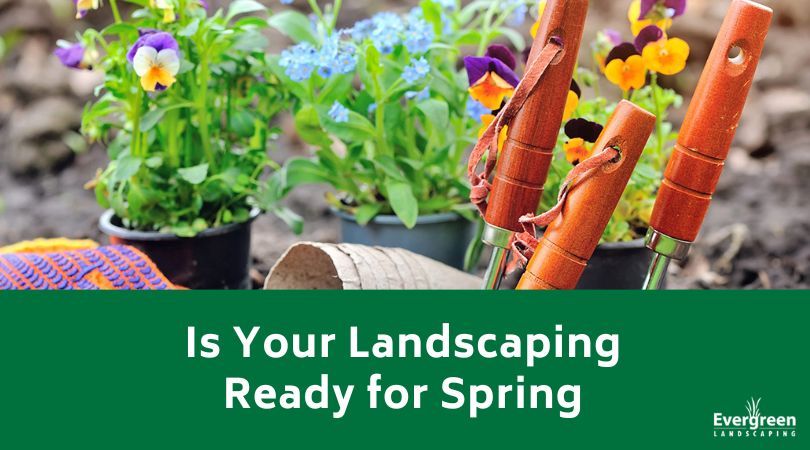 Is Your Landscaping Ready for Spring