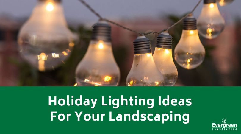 Holiday Lighting Ideas For Your Landscaping