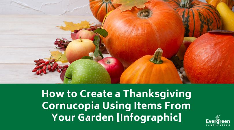 How to Create a Thanksgiving Cornucopia title