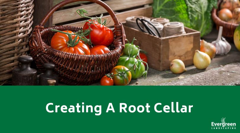 Creating A Root Cellar