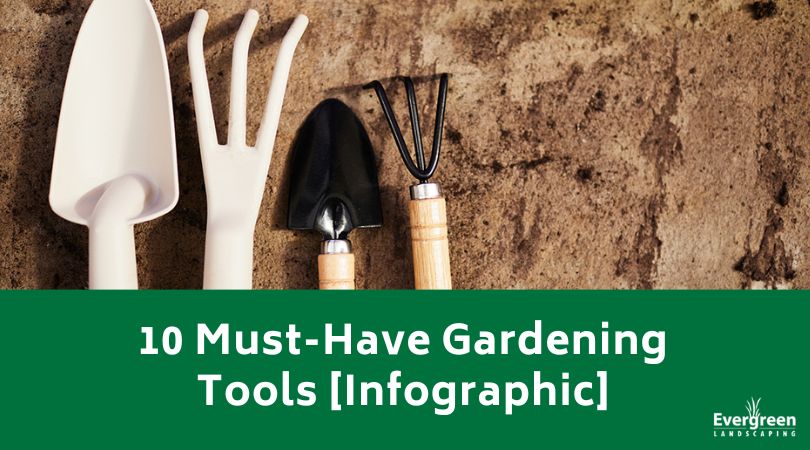 10 Must-Have Gardening Tools