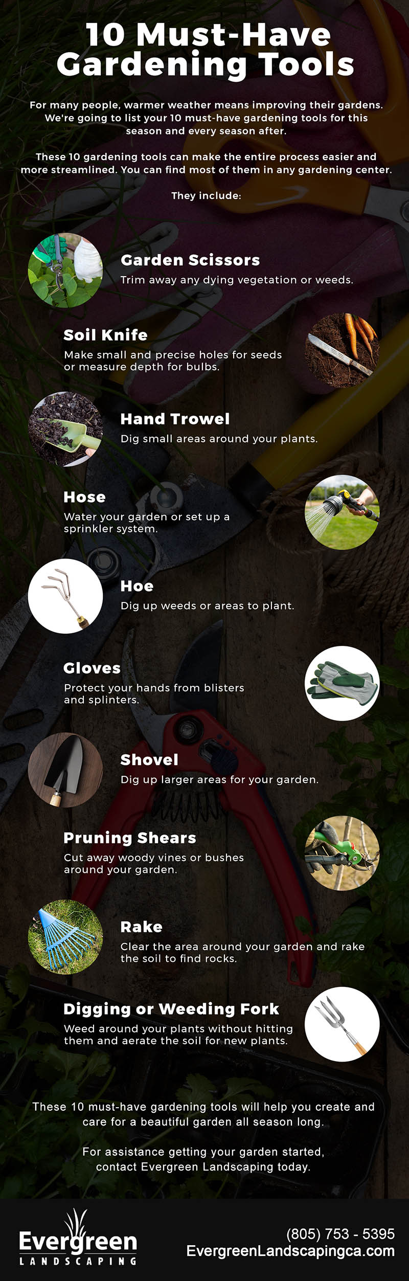 10 must-have gardening tools