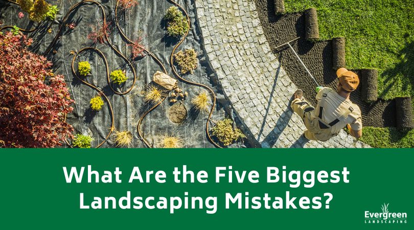 What Are the Five Biggest Landscaping Mistakes
