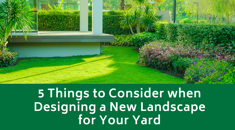 5 Things to Consider when Designing a New Landscape for Your Yard