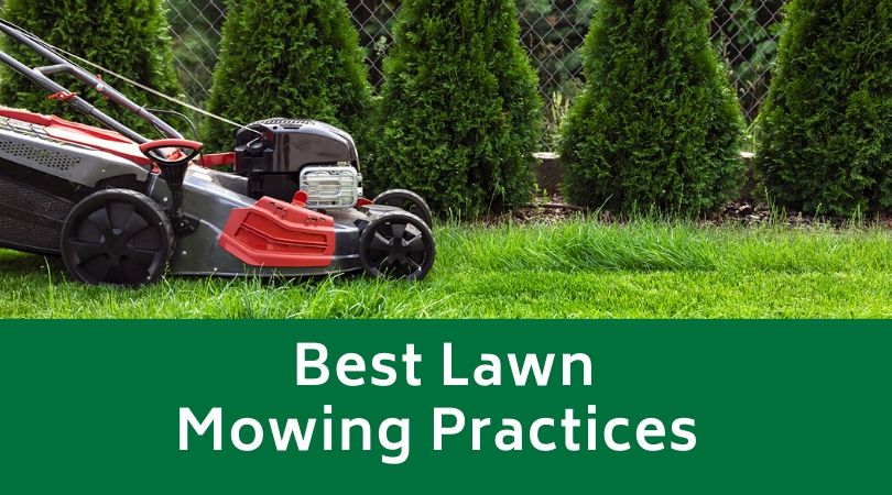 Best Lawn Mowing Practices