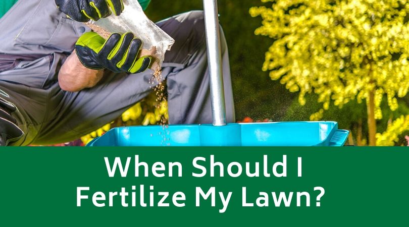 When Should I Fertilize My Lawn