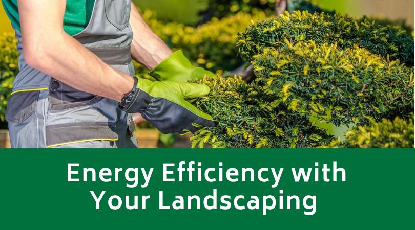 Energy Efficiency with Your Landscaping post