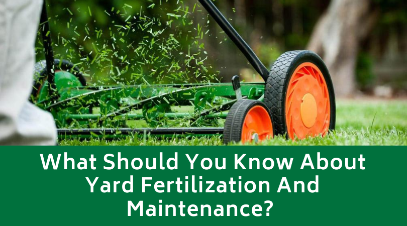 What Should You Know About Yard Fertilization And Maintenance