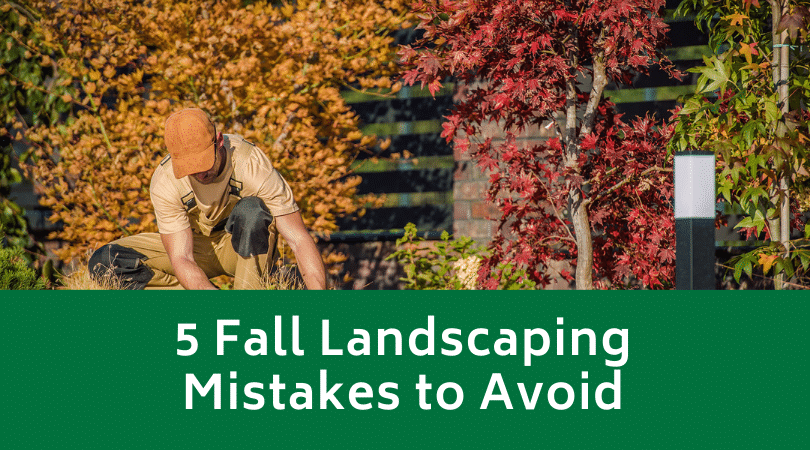 5 Fall Landscaping Mistakes to Avoid