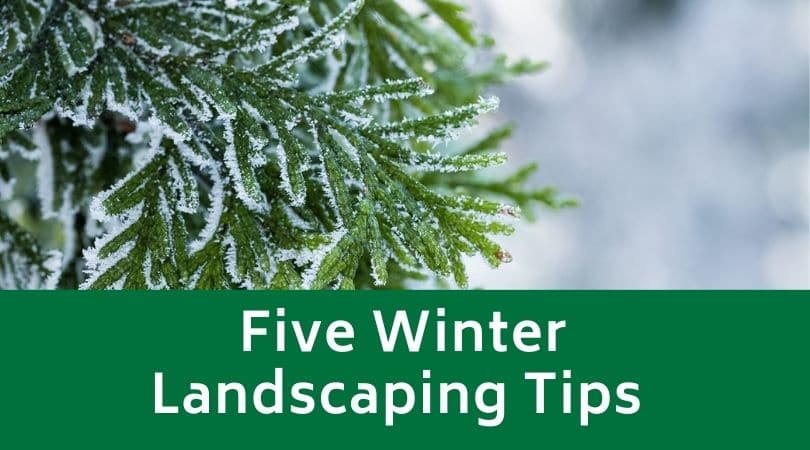 Five Winter Landscaping Tips
