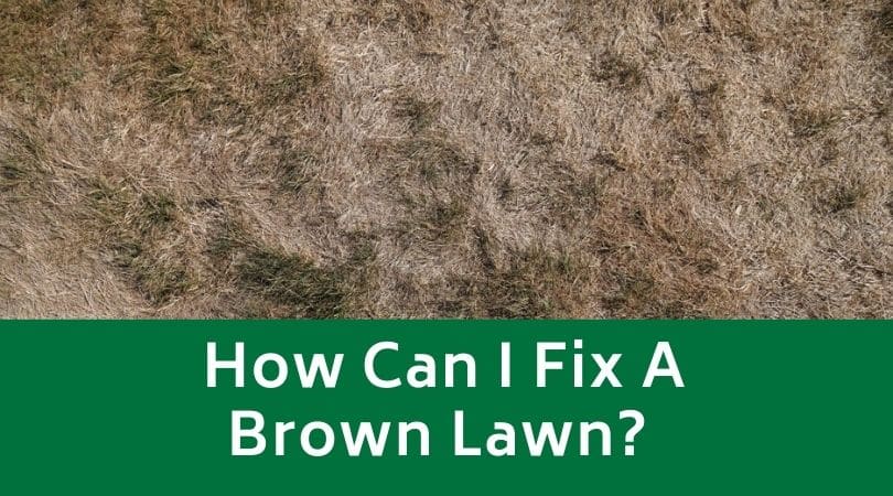 How Can I Fix A Brown Lawn
