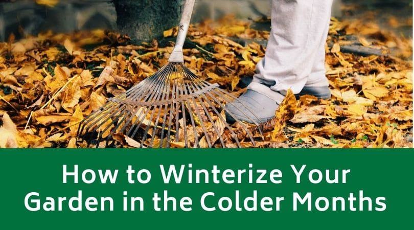 How to Winterize Your Garden in the Colder Months