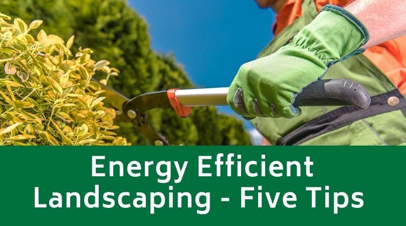Energy Efficient Landscaping - Five Tips