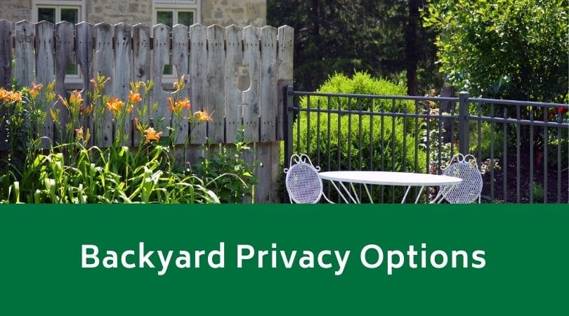 Backyard Privacy Options