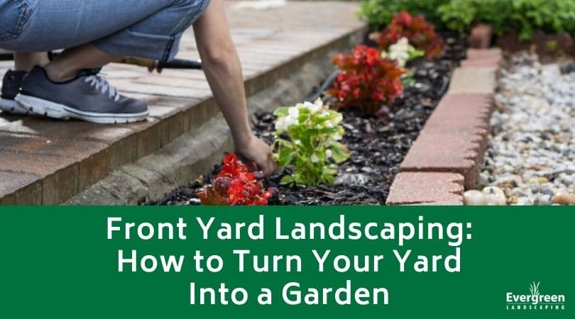 How to Turn Your Yard Into a Garden