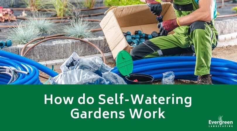 How do Self-Watering Gardens Work