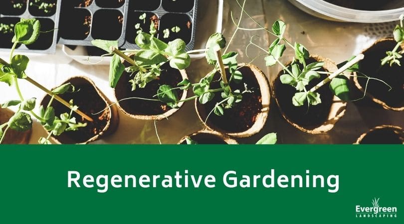 Regenerative Gardening
