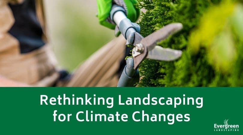 Rethinking Landscaping for Climate Changes