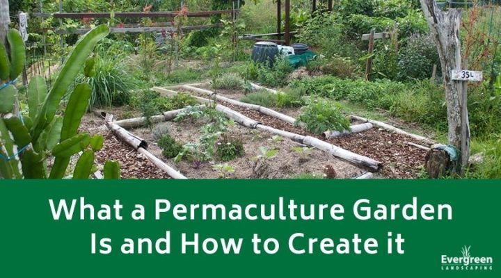 What a Permaculture Garden Is and How to Create it - Evergreen Landscaping