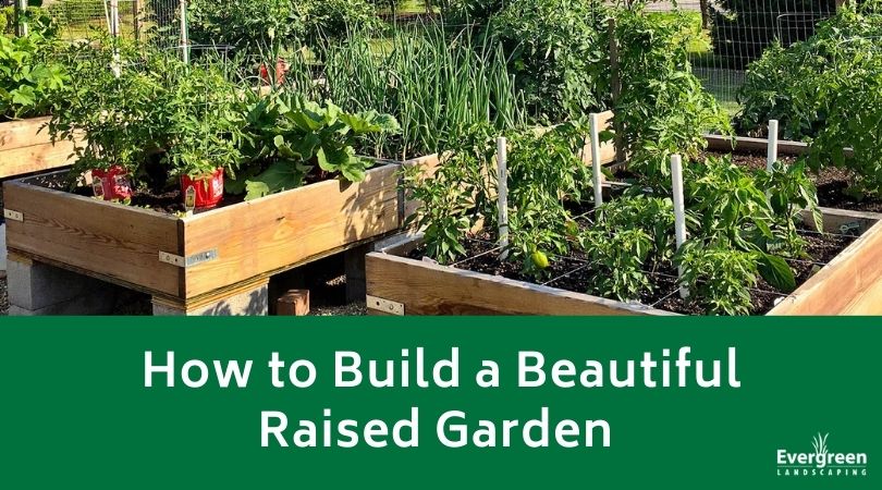 How to Build a Beautiful Raised Garden