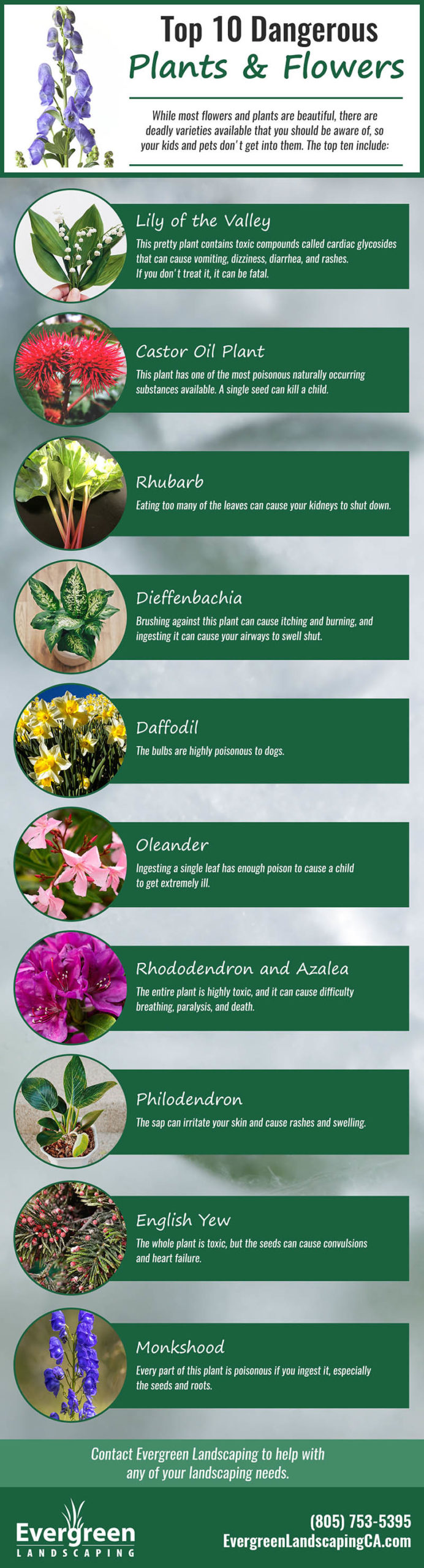 Top Ten Dangerous Plants and Flowers