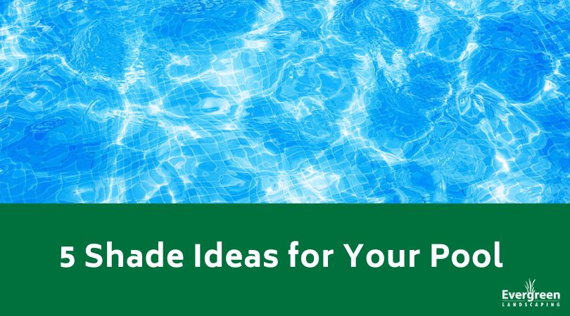 5 Shade Ideas for Your Pool