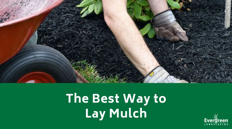 The Best Way to Lay Mulch