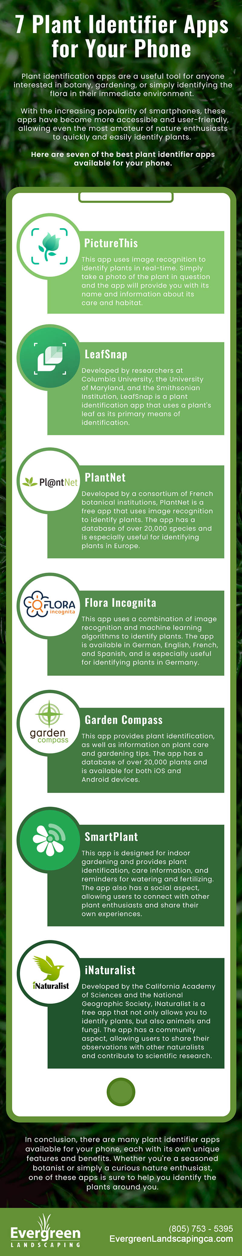 7 plant identifier apps for your phone