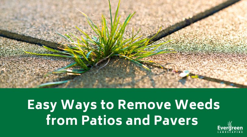 Easy Ways to Remove Weeds from Patios and Pavers 