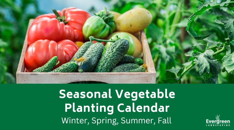 Seasonal Vegetable Planting Calendar
