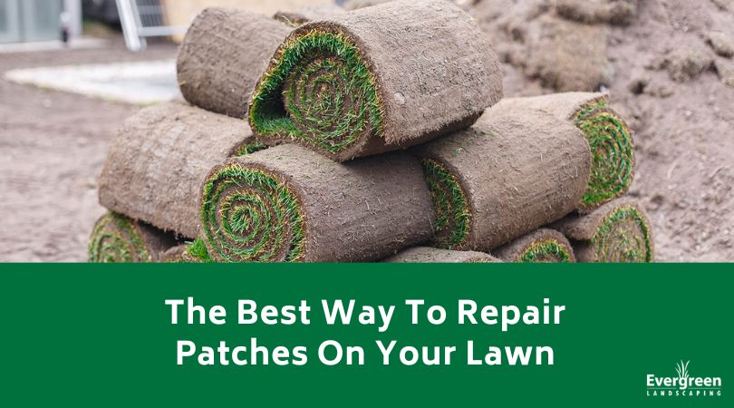 The Best Way To Repair Patches On Your Lawn