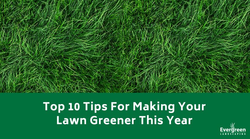 Top 10 Tips For Making Your Lawn Greener This Year