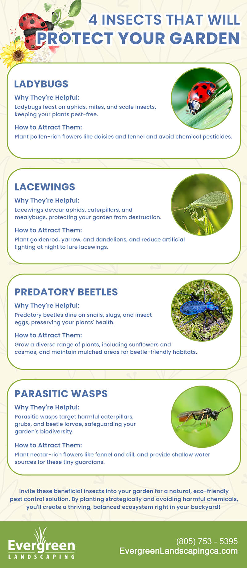 4 insect that potect your garden copy