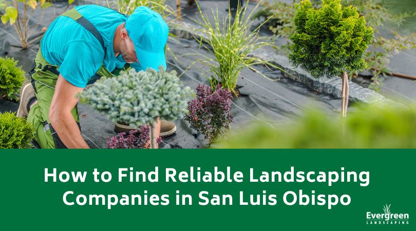 How to Find Reliable Landscaping