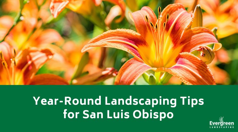Year-Round Landscaping Tips