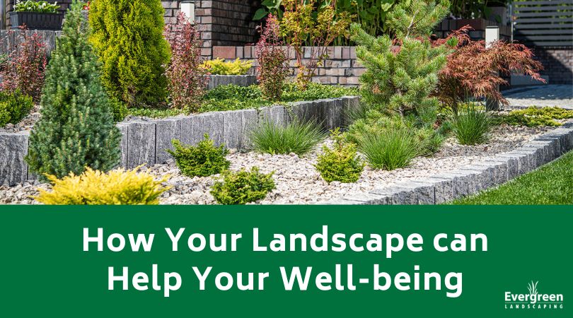 How Your Landscape can Help Your Well-being
