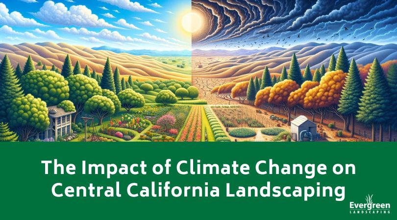 The Impact of Climate Change on Central California Landscaping