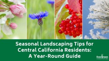 Seasonal Landscaping Tips title