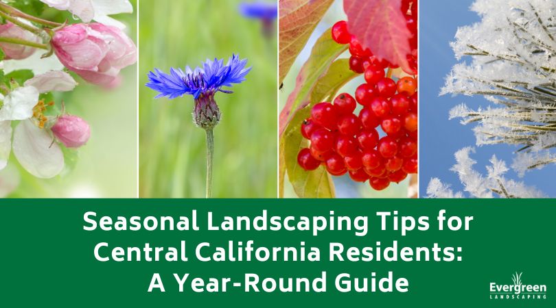 Seasonal Landscaping Tips title