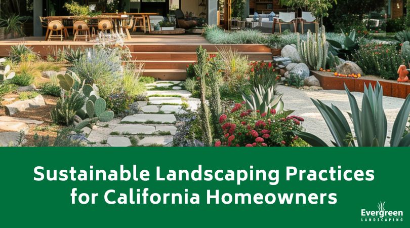 Sustainable Landscaping Practices for California Homeowners title