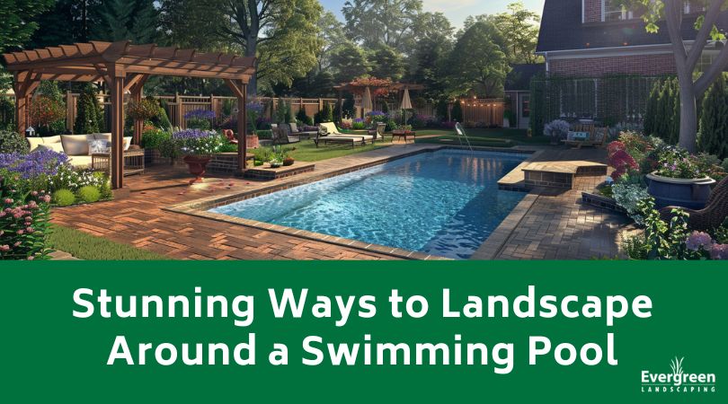 Stunning Ways to Landscape Around a Swimming Pool