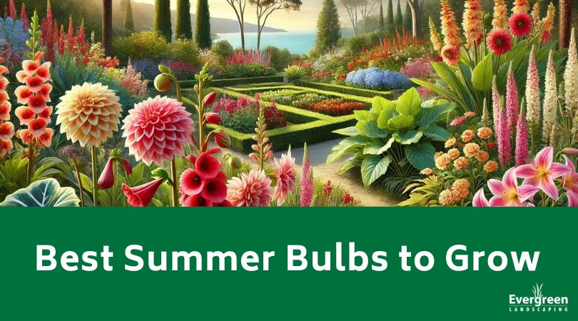 Best Summer Bulbs to Grow title