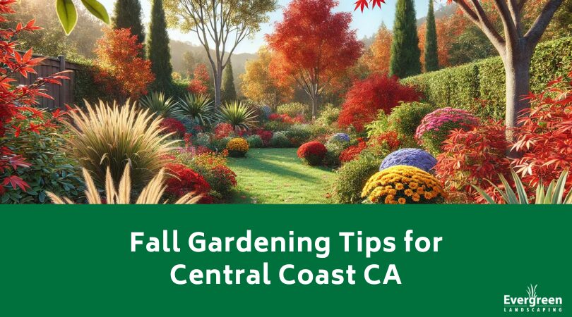 Fall Gardening Tips for Central Coast CA