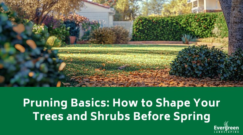 Pruning Basics