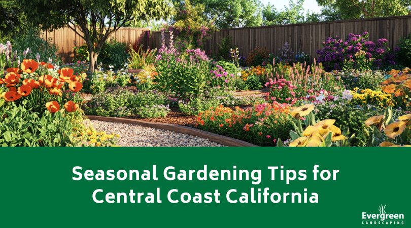 Seasonal Gardening Tips for Central Coast California