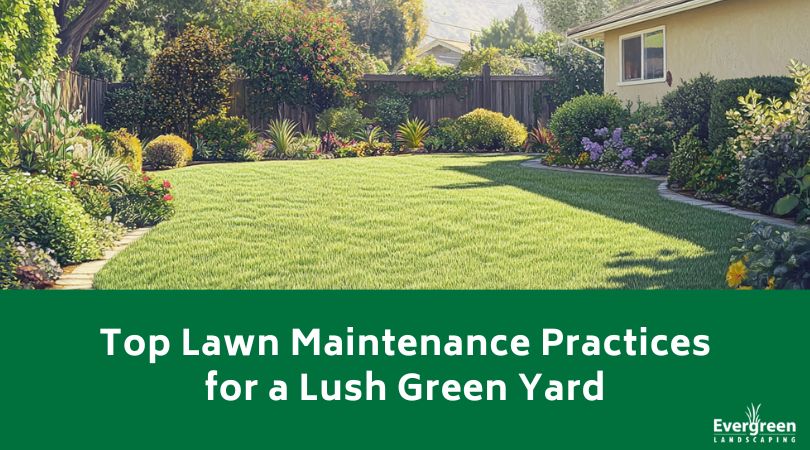 Top Lawn Maintenance Practices for a Lush Green Yard