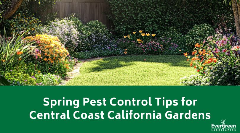 Spring Pest Control Tips for Central Coast California Gardens